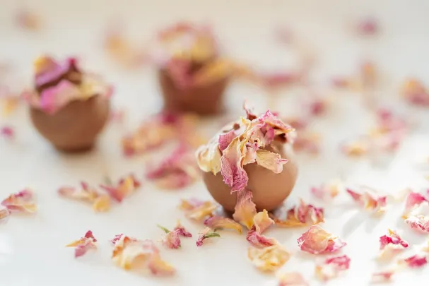 Casino Paradise Win Android/iOS-app